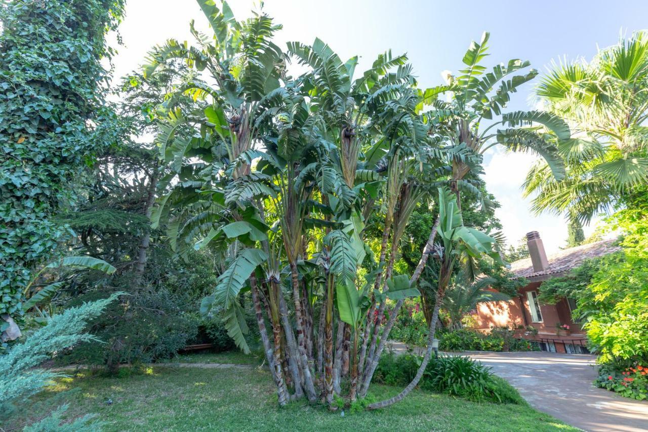 Il Giardino Di Michela By Domusicily Villa Mondello Buitenkant foto